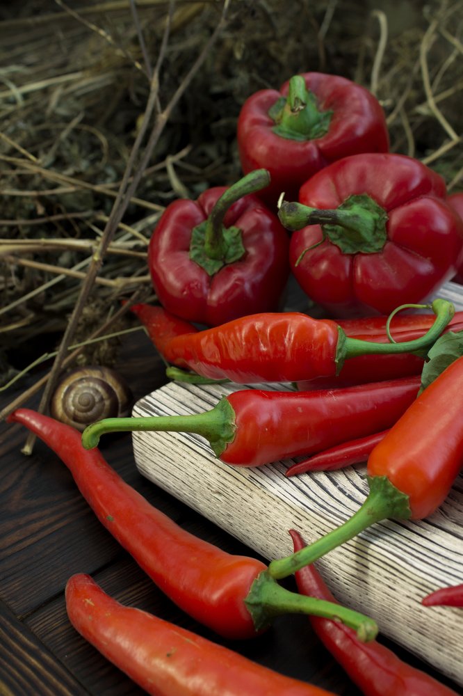 Photograph by Юлия Козаева