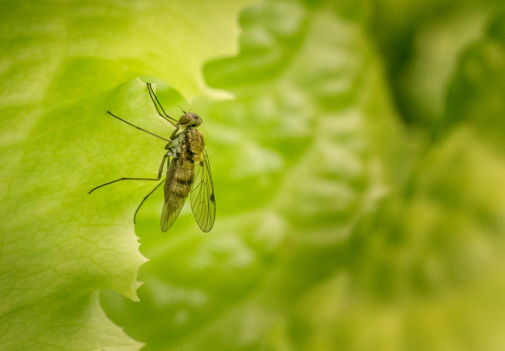 Photograph by Мария Самохина