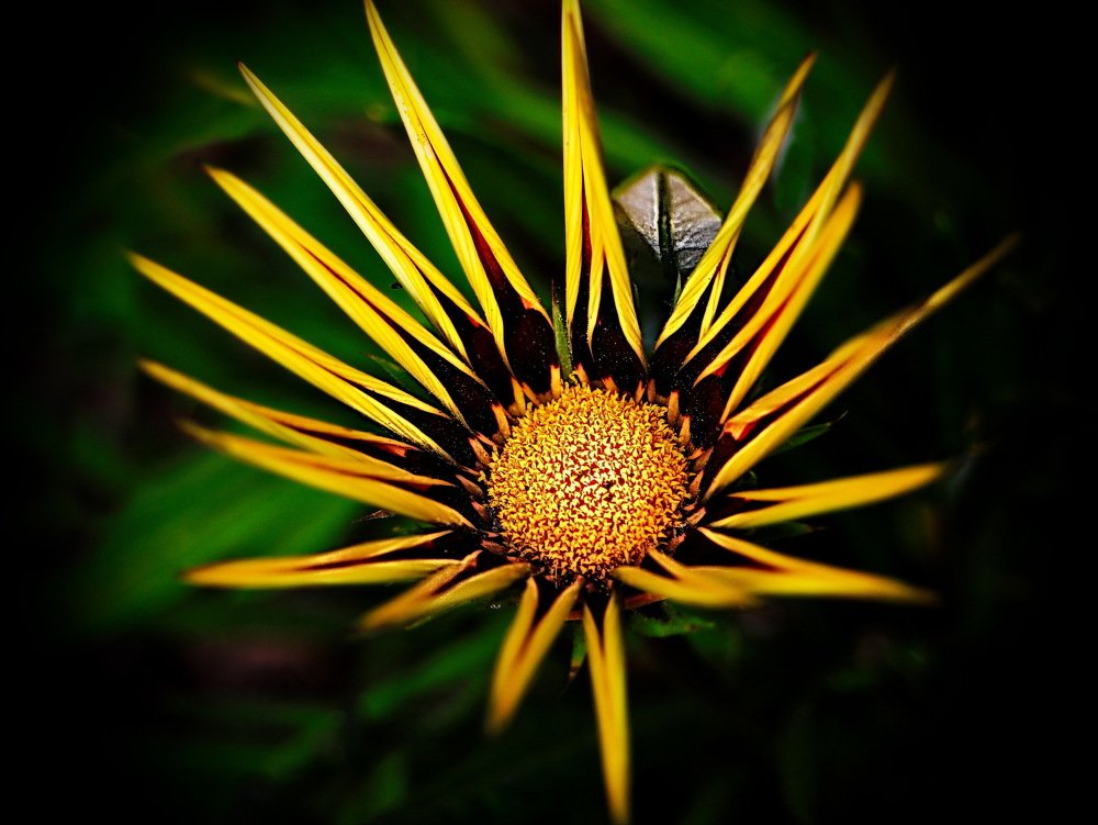 Photograph by Inga Dreger