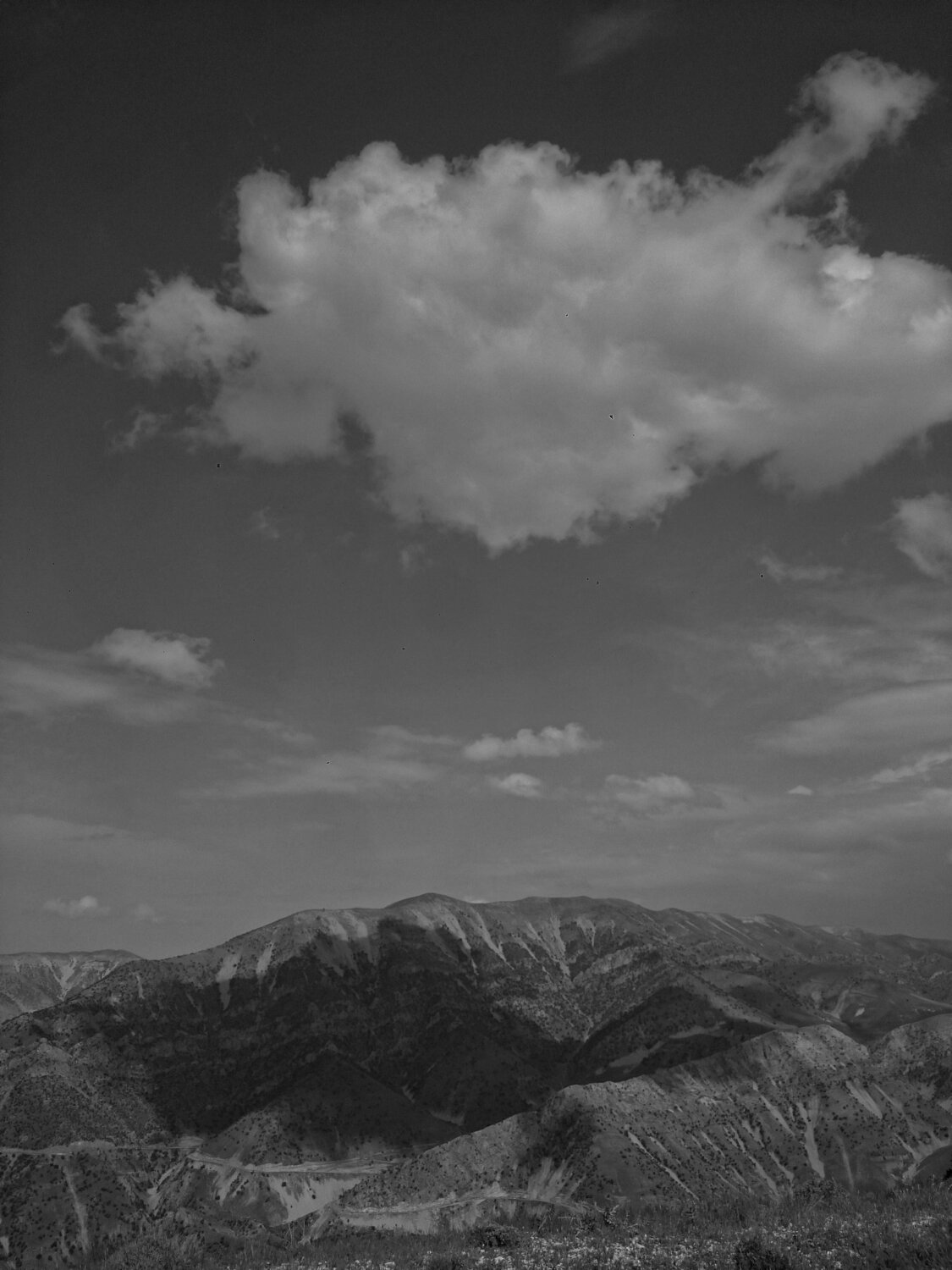 Photo #3619680