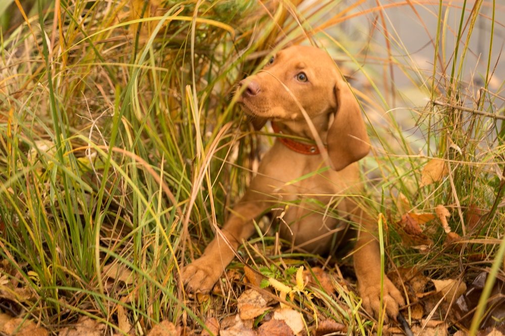 Фотография автора Марина Верина
