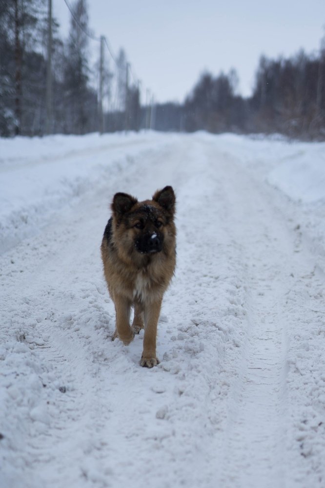Фотография автора Марина Верина