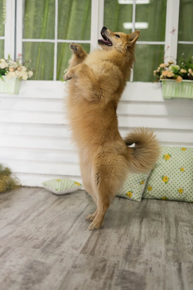 Фотография автора Марина Верина