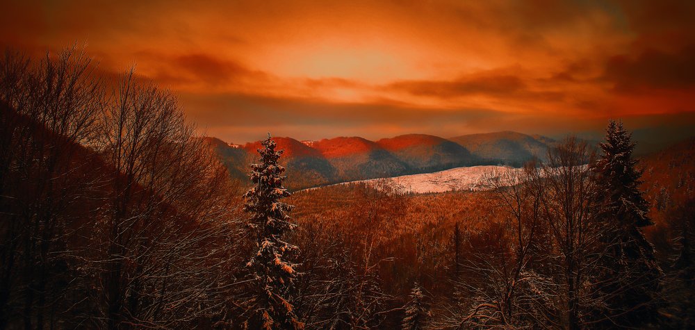 Photograph by Serhij Kharchenko