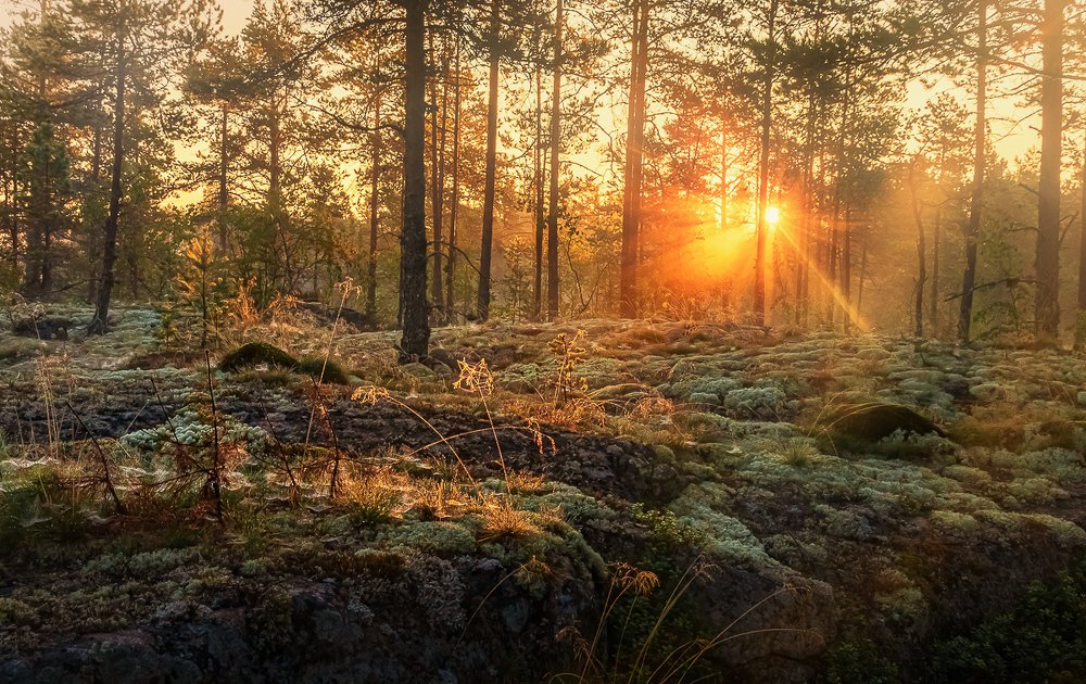 Photograph by jurijs ginels