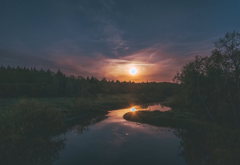 Photograph by Сергей