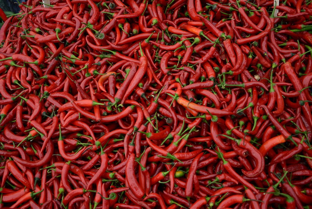 Photograph by Gülşen  Mutlu