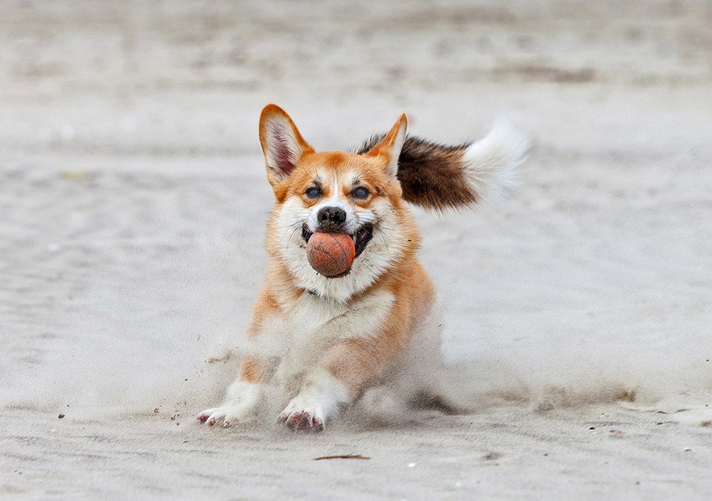 Photograph by Alex Perelman