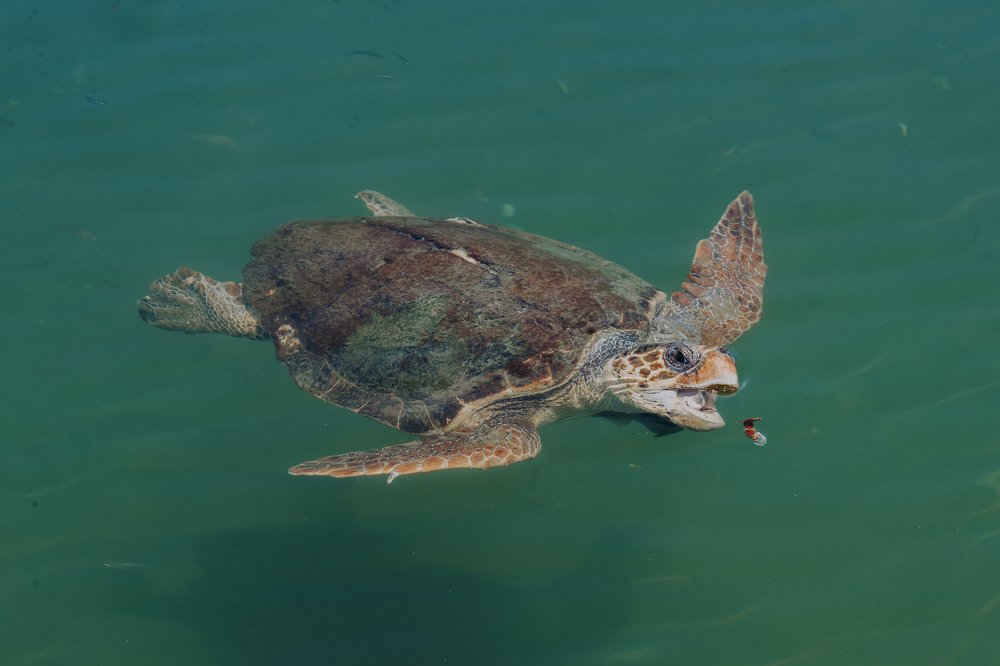 Photograph by BEKA MSKHILADZE