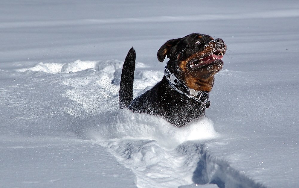 Photograph by Александр Столяров