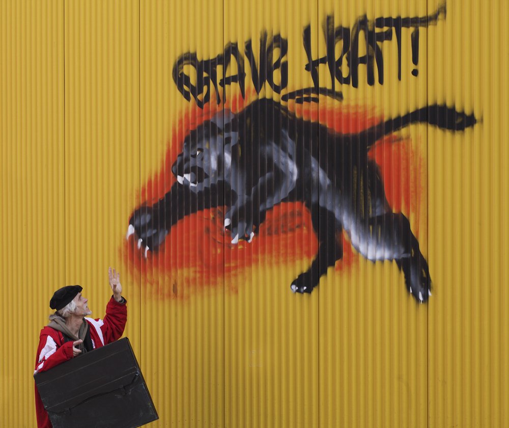 Attack of the Black Panther