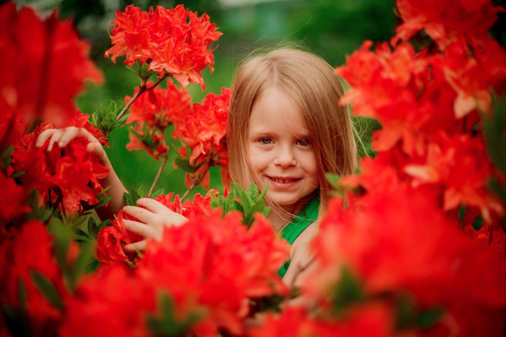 Photograph by Илона Дунаева