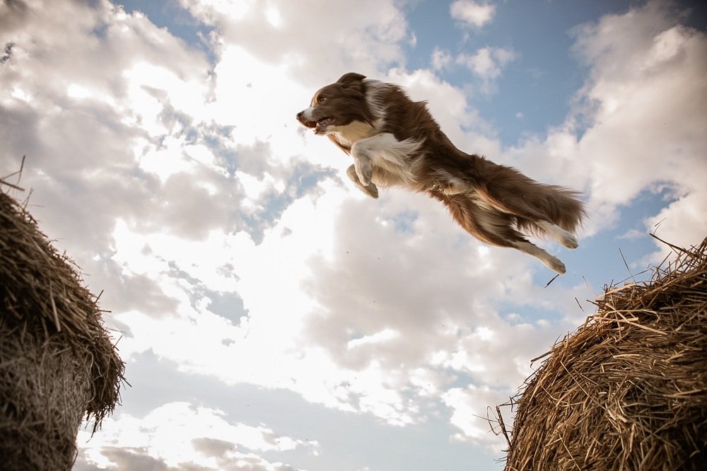 Photograph by Вероника Маслова