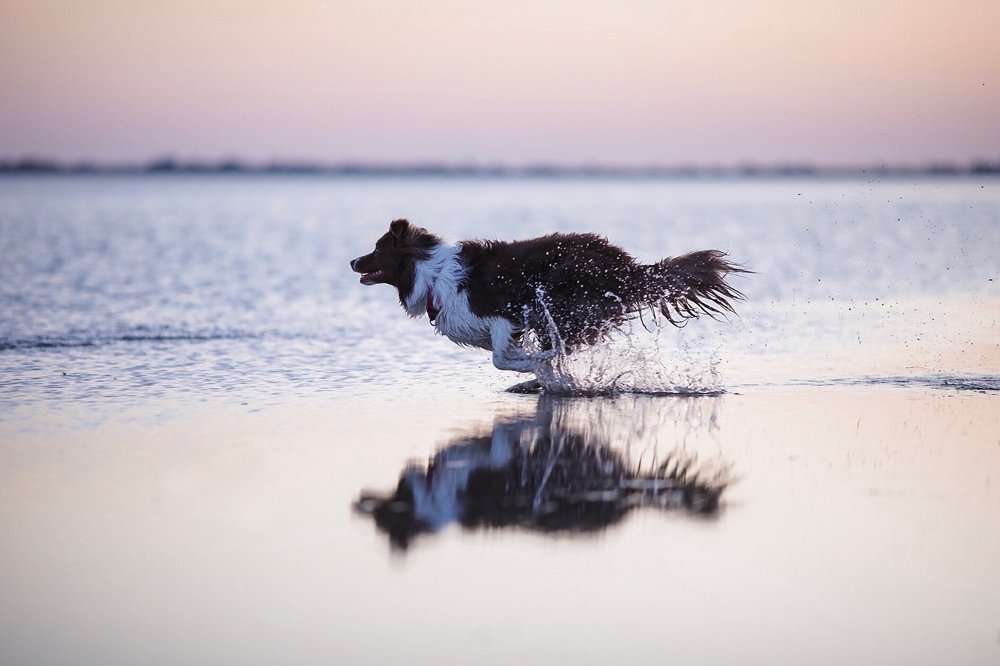 Photograph by Вероника Маслова