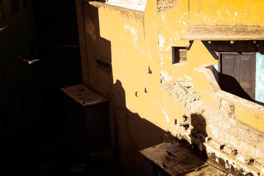 Фотография автора Катерина Белоусова