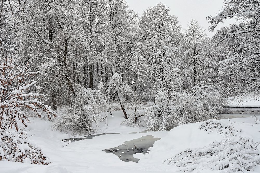 Photograph by Сергей Духанин