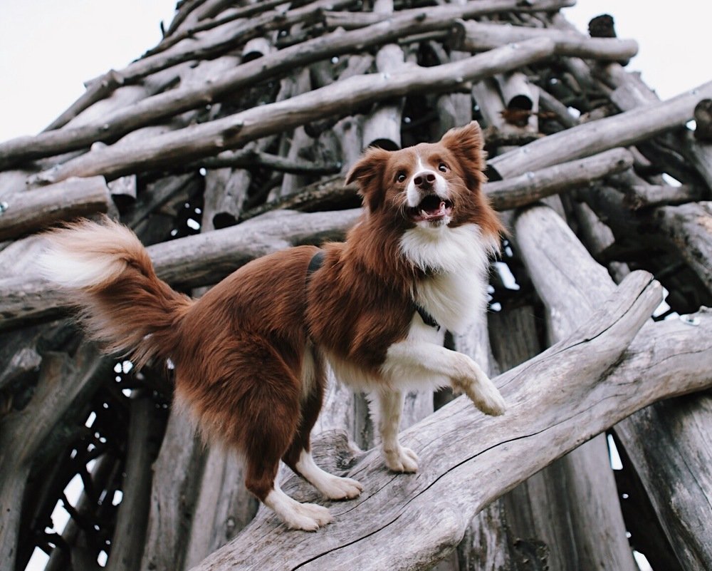 Photograph by Вероника Маслова