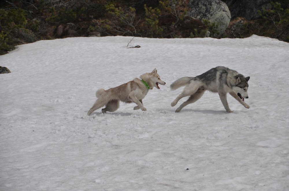 Photograph by Евгений Захаров