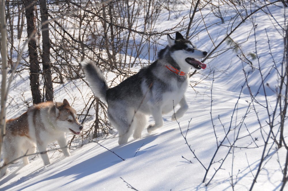 Photograph by Евгений Захаров