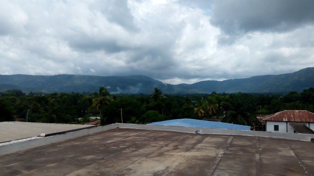 Photo #3620072