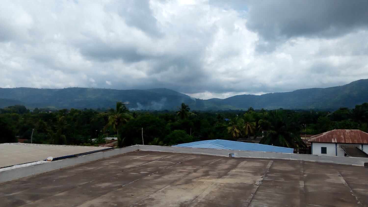 Photo #3620072