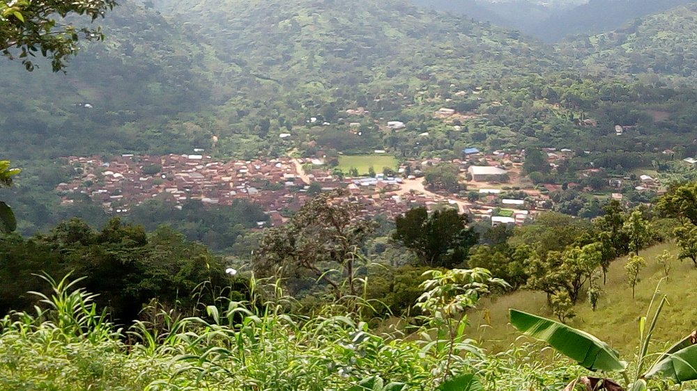 Photo #3620075