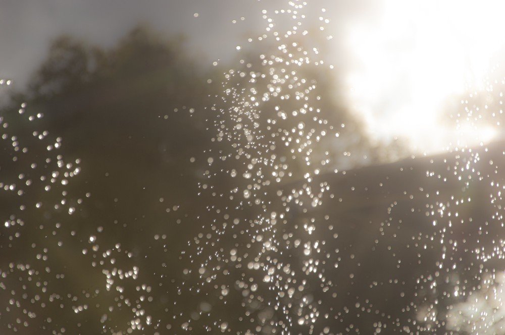 Photograph by Alexander