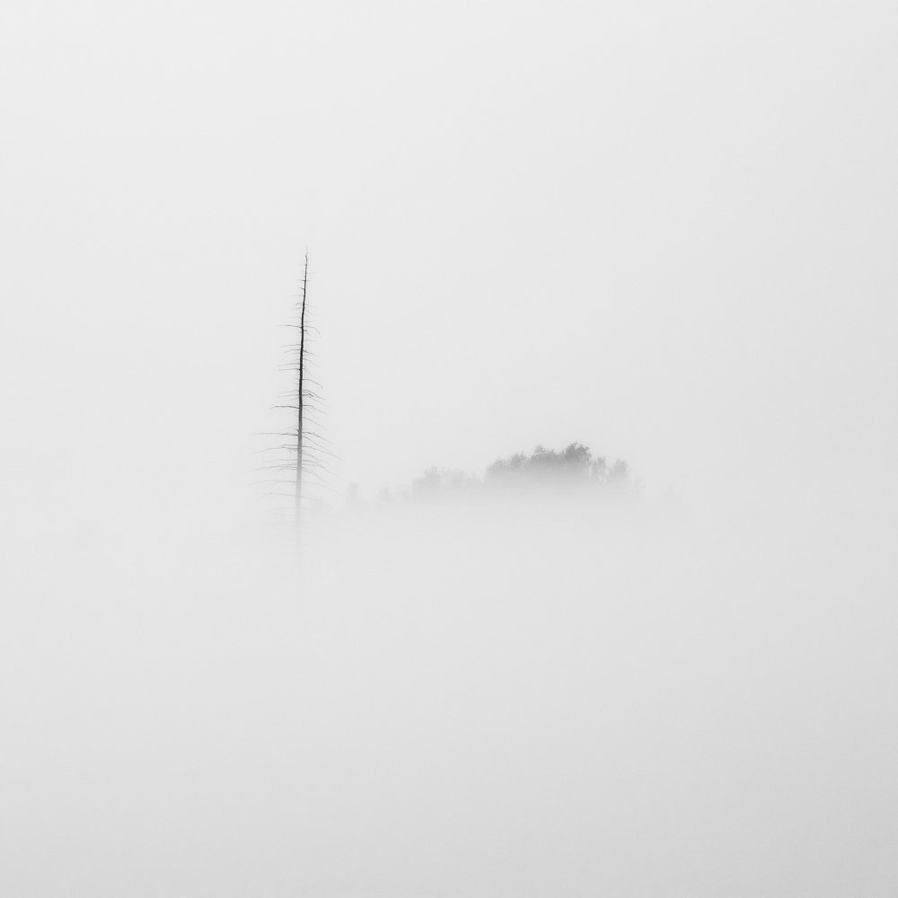 Минимализм