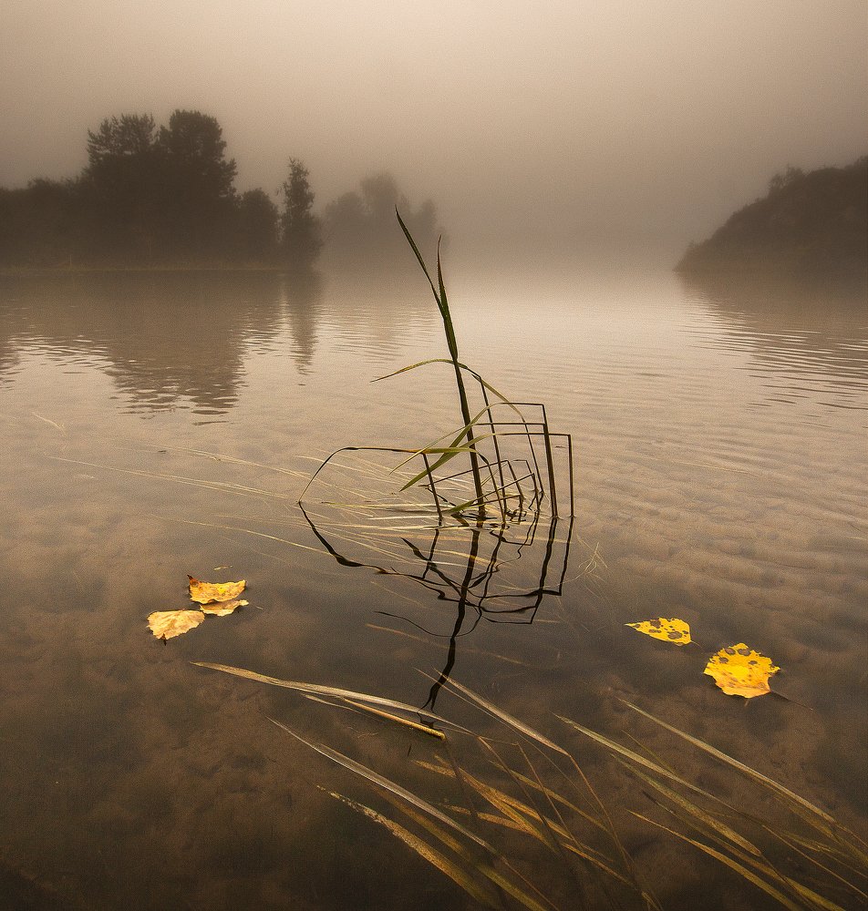 Первые знаки осени