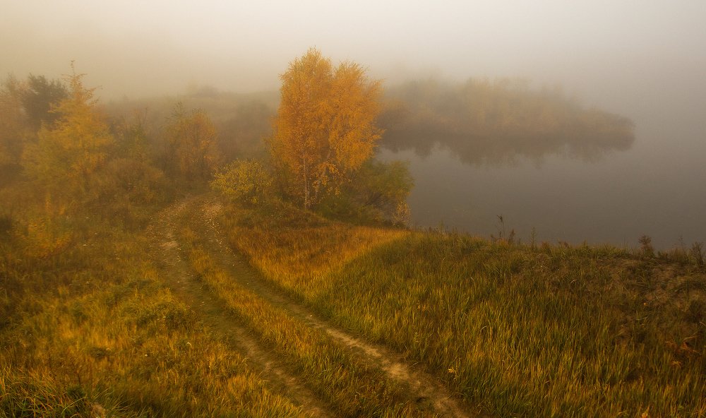 Дорога в осень