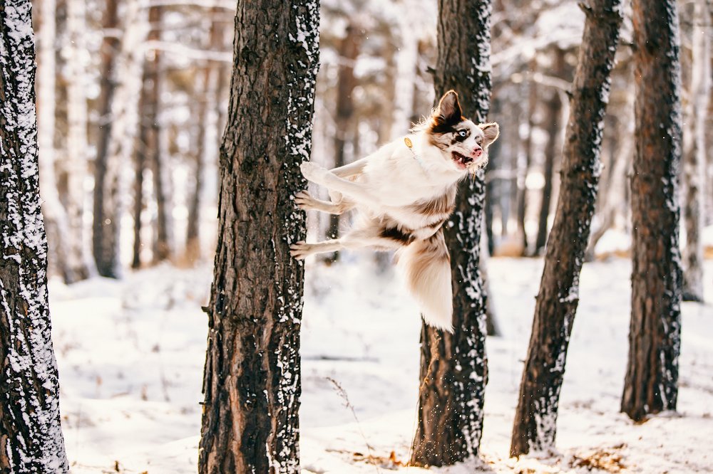 Photograph by Евгения ГЕССЕН