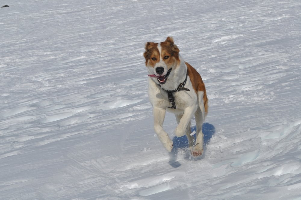Photograph by Евгений Захаров