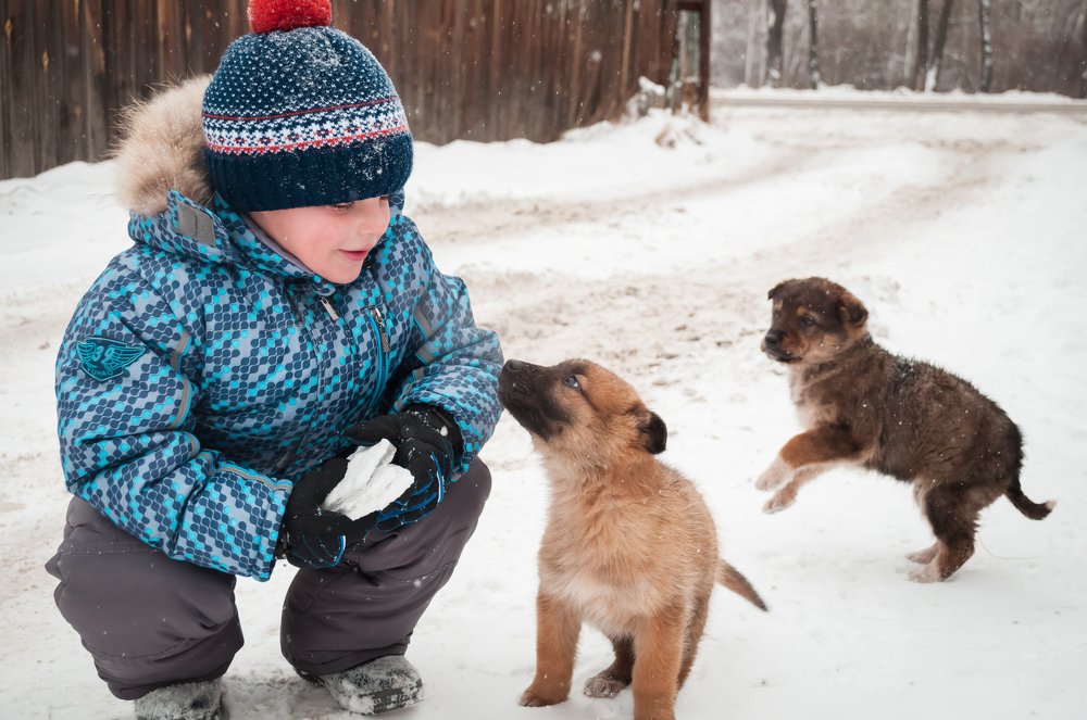 Photograph by Кадырова Анастасия