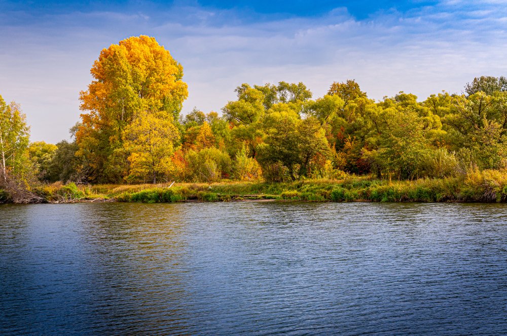 Краски осени