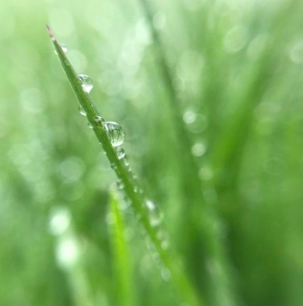 Фотография автора Kirill Golovan