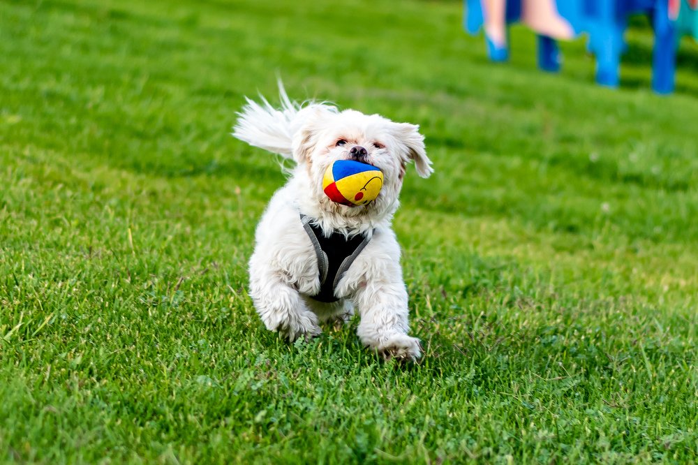 Photograph by Vahid Yavari