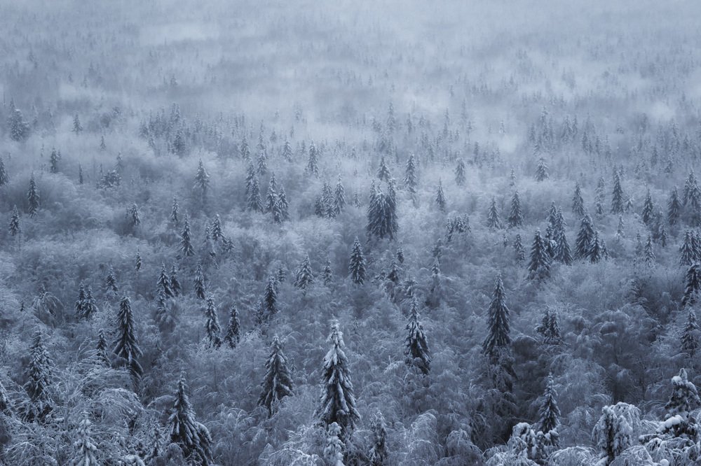 Photograph by Антон Кошетаров