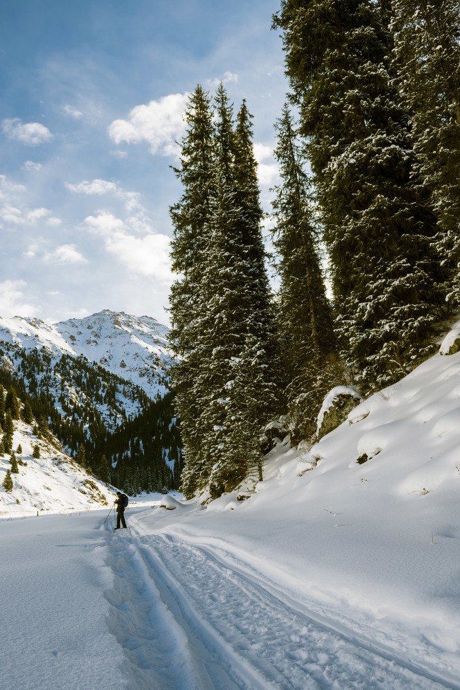 Photograph by Галина Канеева