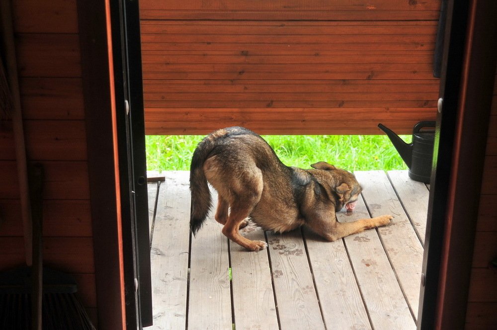 Photograph by Николай Турский