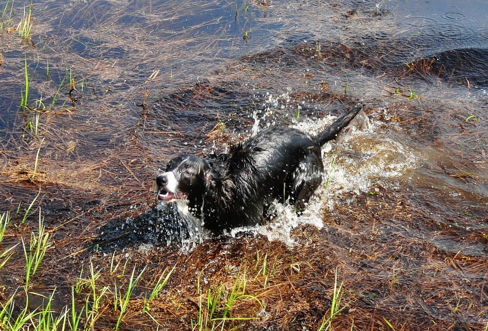 Photograph by Николай Турский