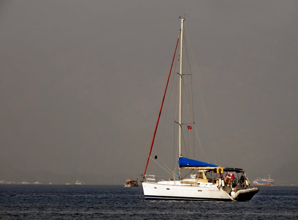 Фотография автора Роман Савоцкий