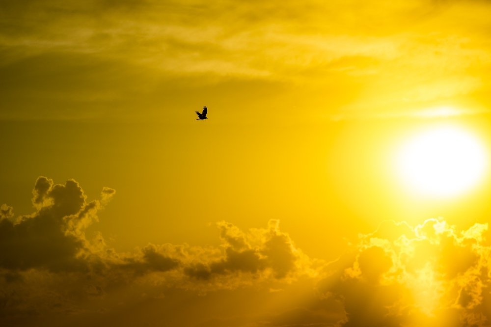 Фотография автора Александр Кременицкий