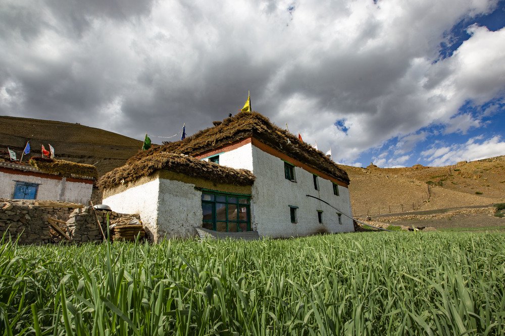 Photograph by Sheldon Rodrigues