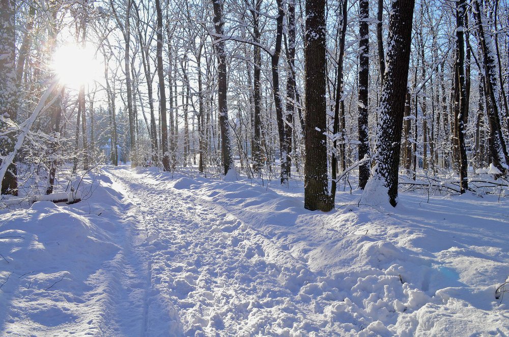 Photograph by Татьяна