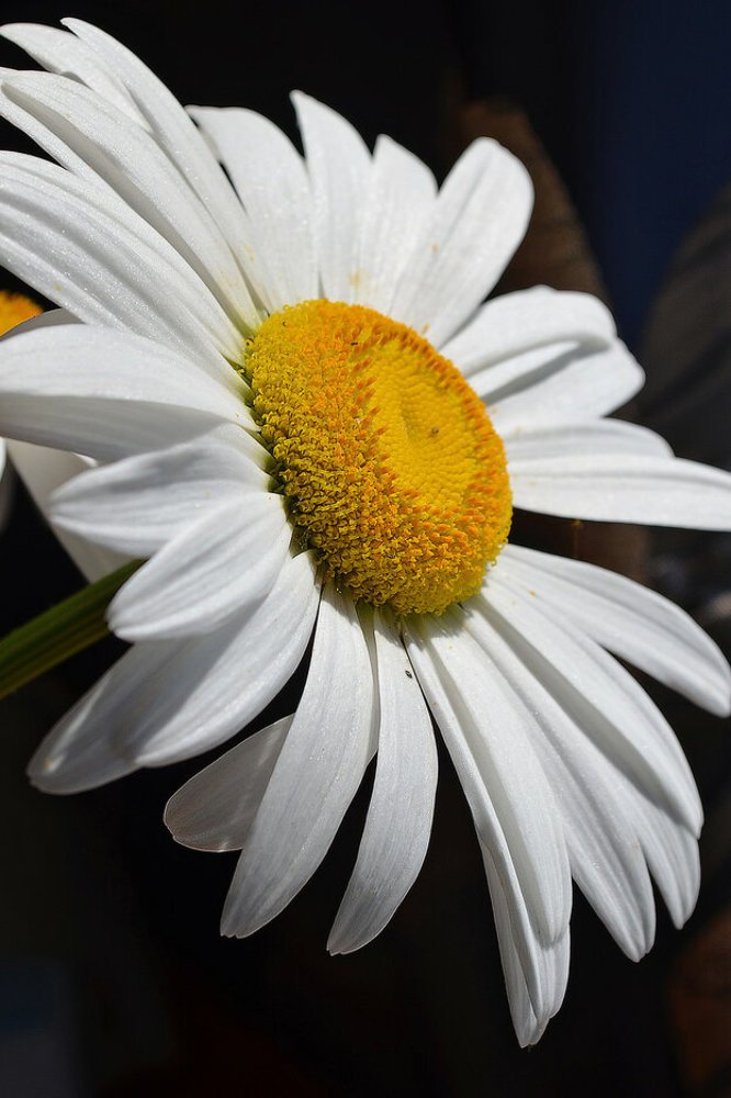 Photograph by Татьяна