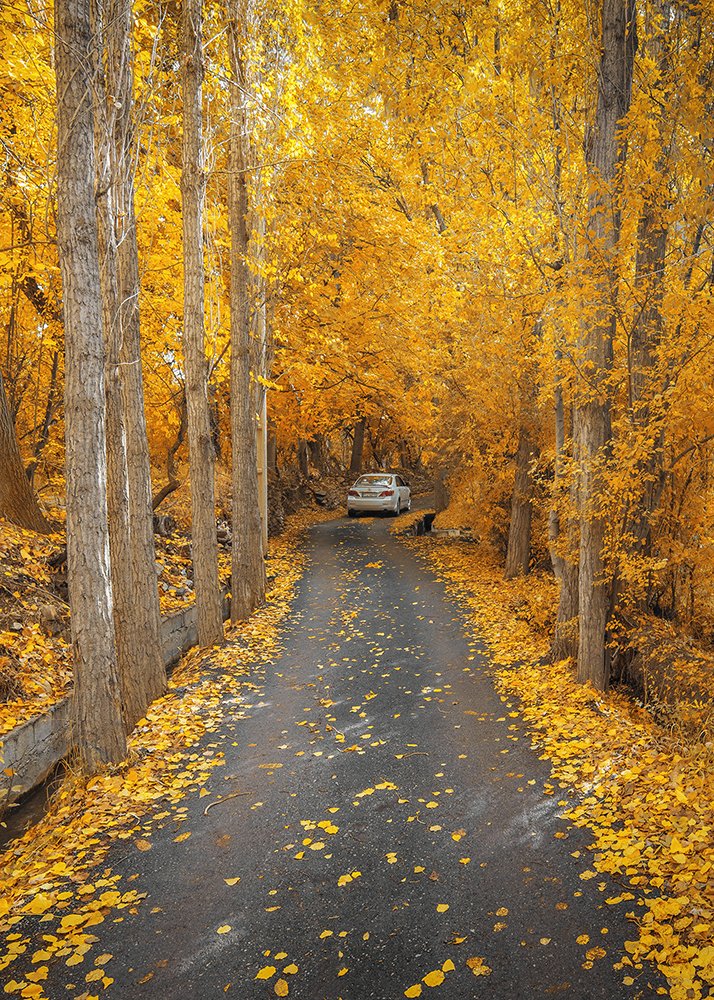 Photograph by sajjad saadat