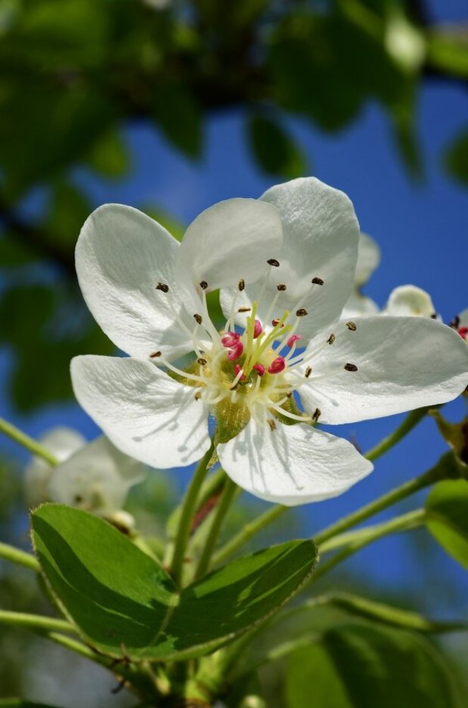 Photograph by Татьяна