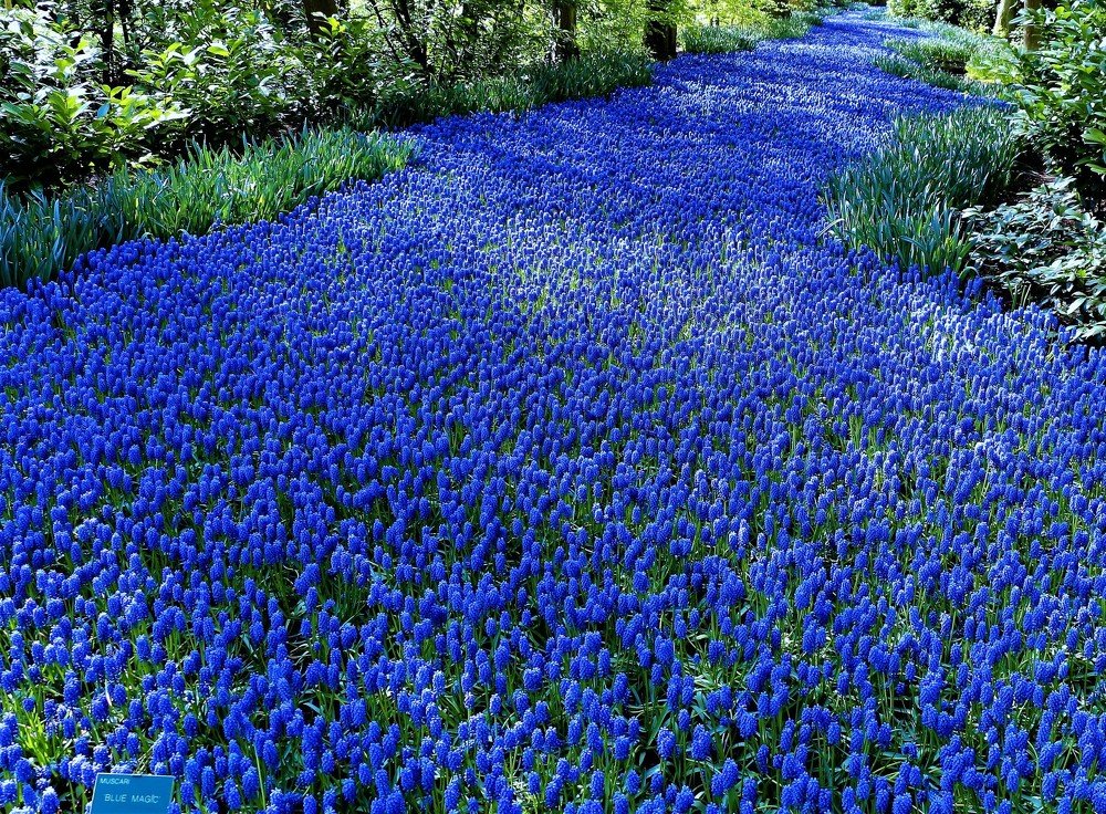 Photograph by Сергей Демченко