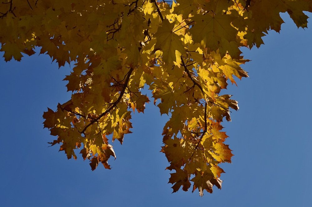 Photograph by Татьяна