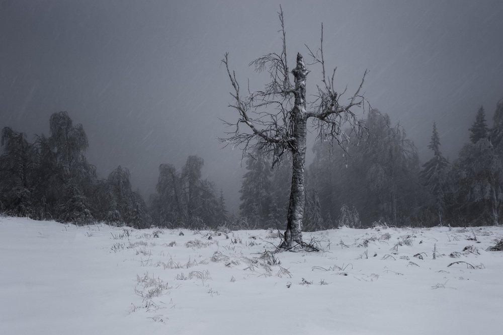 Photograph by Антон Кошетаров